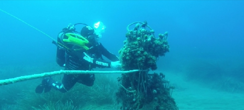Piano di Sorrento, ormeggio di barche abusivo: scatta il sequestro 