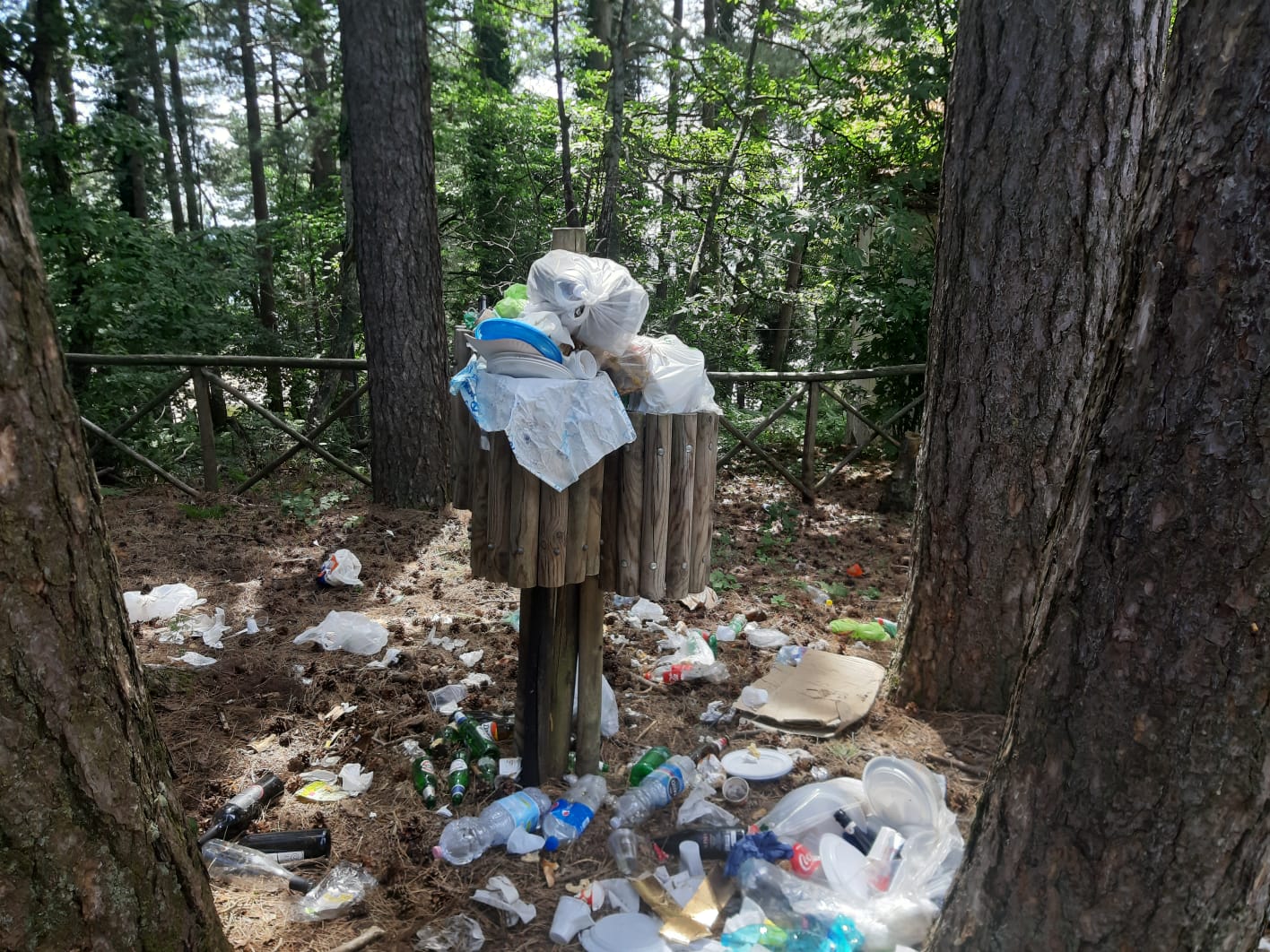 Faito, scempio nei boschi: rifiuti e plastica abbandonati - Immondizia  nella zona della stazione della funivia nel periodo di boom dei turisti |  Il Corrierino