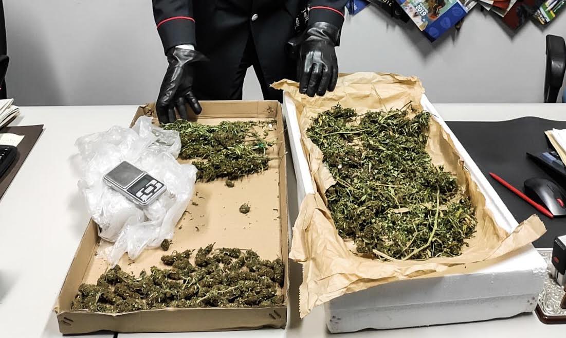 Boscoreale, coltivava droga nel garage: arrestato diciottenne 