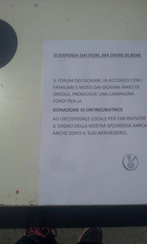 L'addio ad Orsola, il Forum dei giovani raccoglie i soldi per comprare un'incubatrice