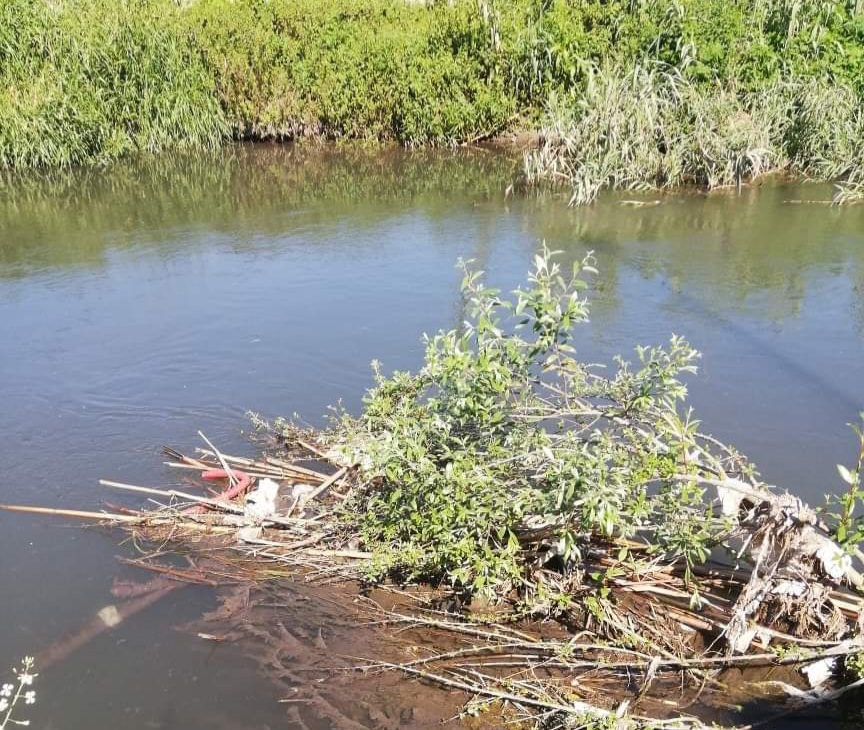 Castellammare, nel fiume Sarno tornano i veleni e la plastica