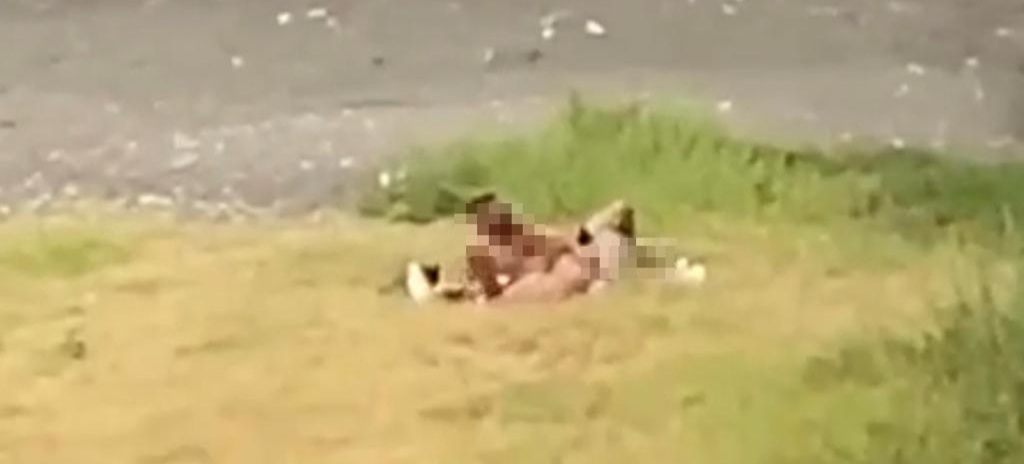 Castellammare, sesso sulla spiaggia in villa comunale: denuncia choc