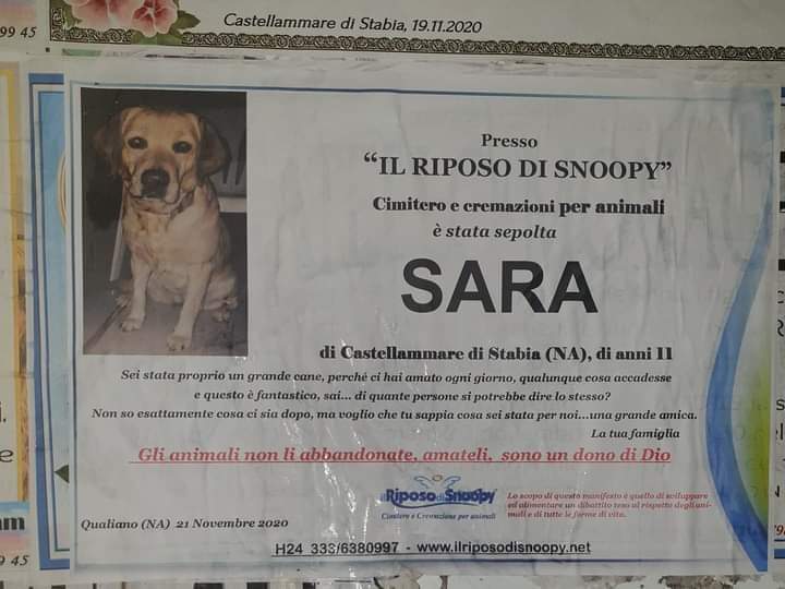 Castellammare, manifesto funebre per dire addio al cane: 'Sei stata una grande amica'