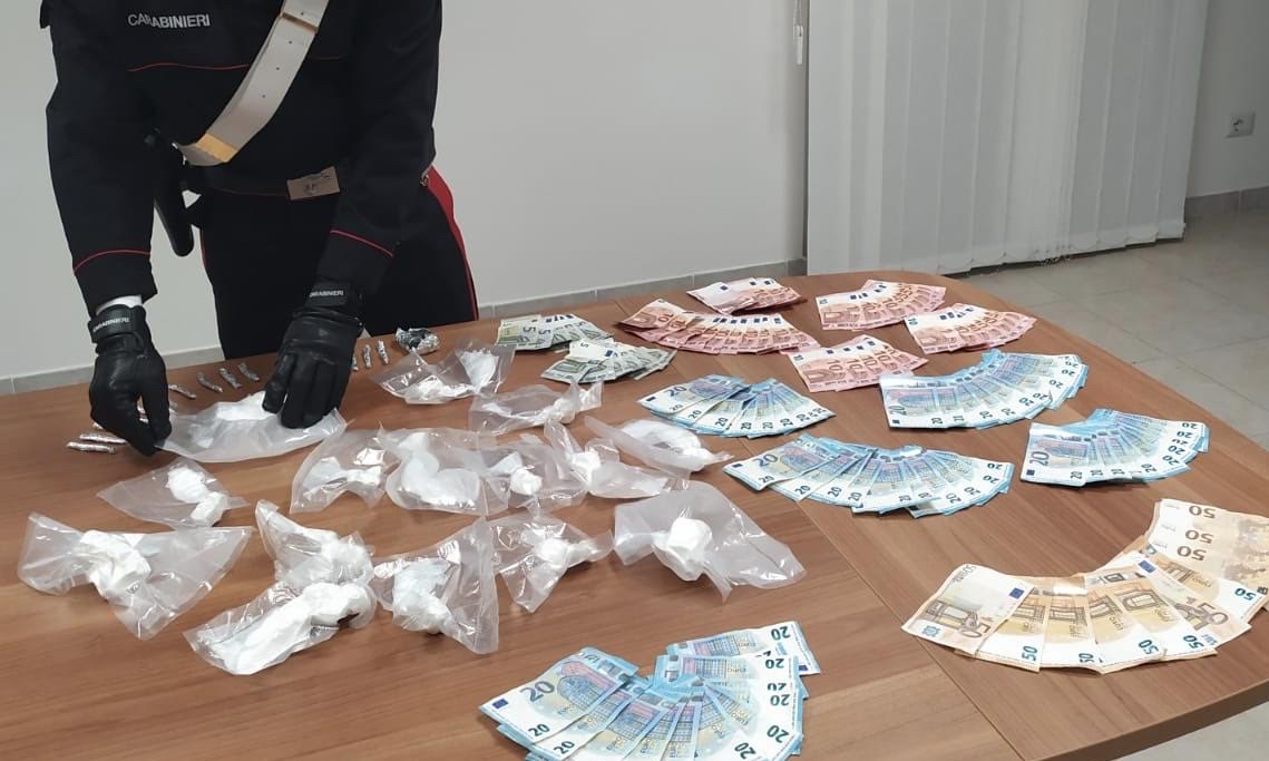  Rottweiler a guardia di soldi e cocaina, arrestato ventisettenne 