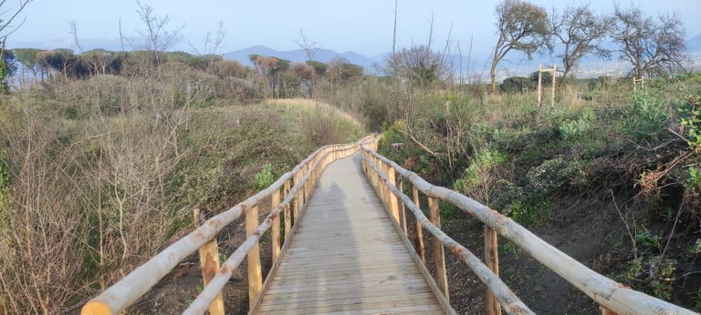 Parco del Vesuvio, un sentiero nel bosco rinato dopo le devastazioni degli incendi 