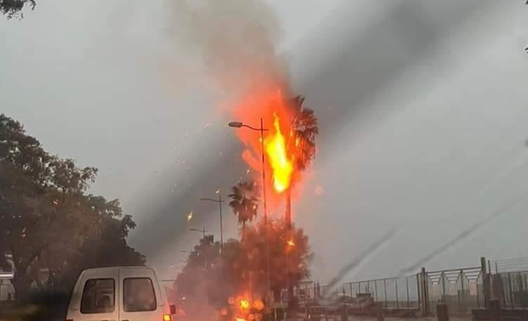 Campania con allerta arancione: fulmine colpisce un albero, paura a Salerno