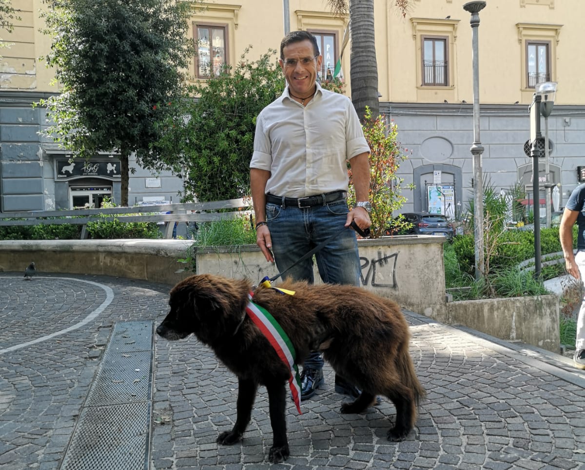 Castellammare, Nerone torna in città: adottato dal dottore Coppola