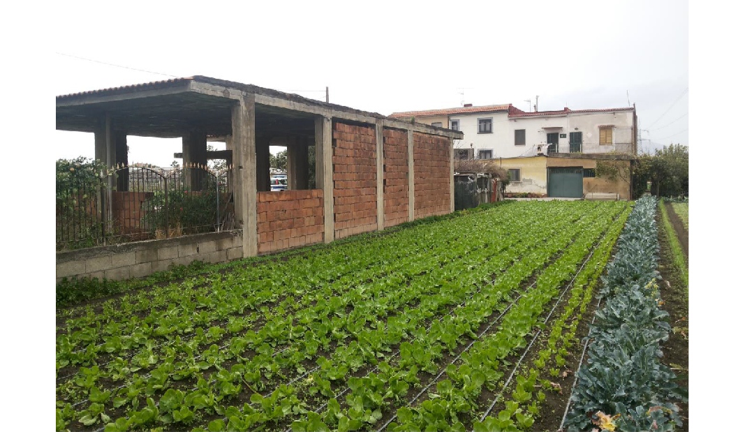 Casa abusiva demolita dopo 20 anni, la Procura riaccende le ruspe 