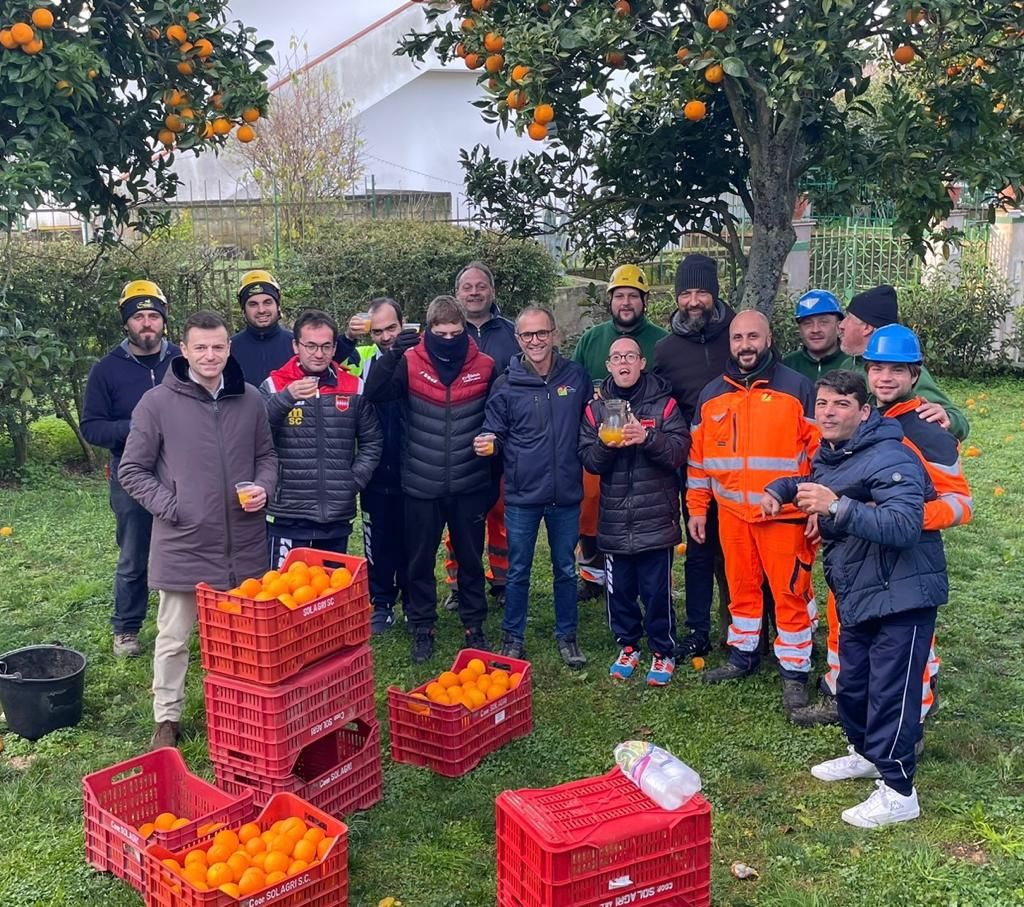 Sorrento, al via la raccolta di arance con i ragazzi e il sindaco 