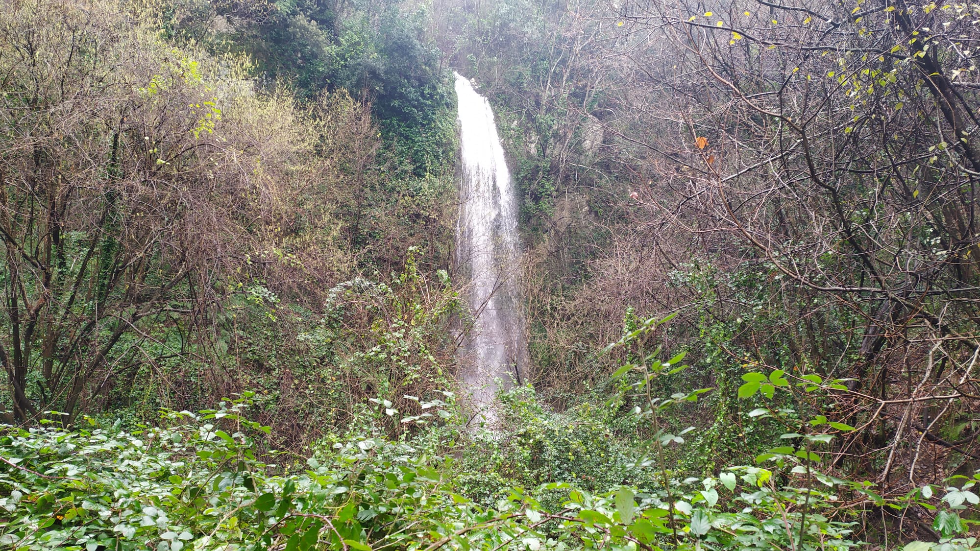 Castellammare, i ruscelli e le cascate dei boschi di Quisisana 