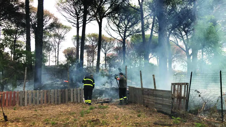 Vesuvio, il primo incendio dell' estate nel Parco: 4 ettari distrutti 