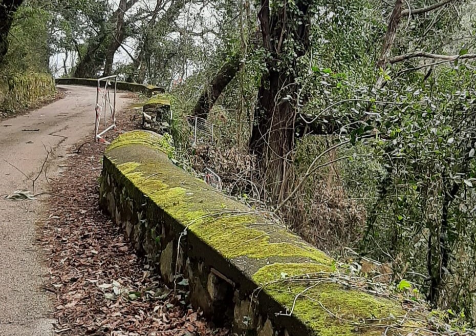 Castellammare, caso boschi di Quisisana l'Archeoclub: 'No al progetto che danneggia l'ambiente'