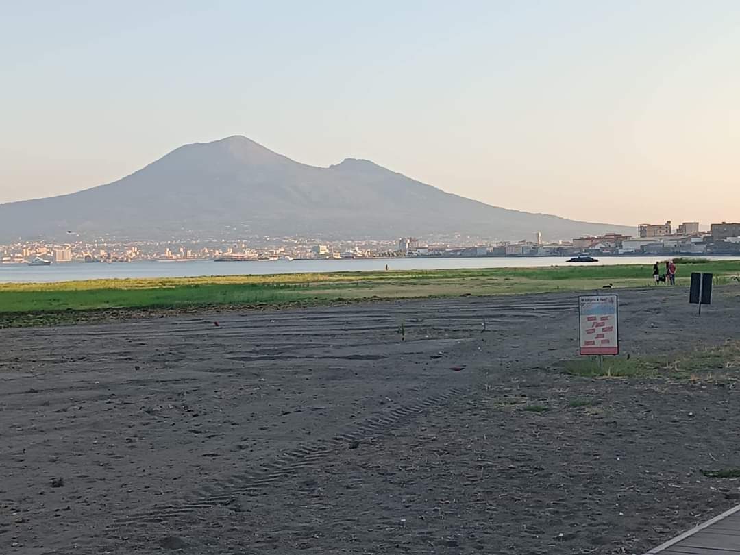 Castellammare, cominciate le operazioni per ripulire arenile dall'erba