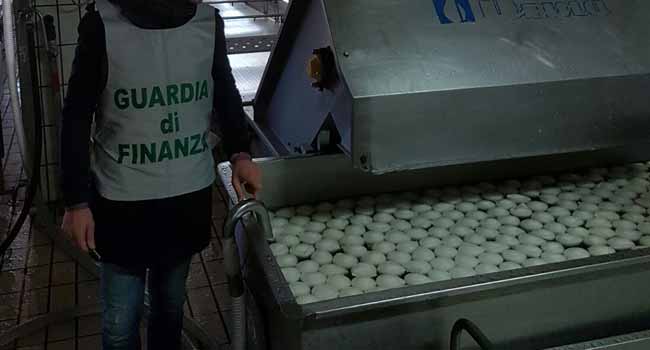 Mozzarella alla soda caustica, tornano liberi i fratelli Croce: 