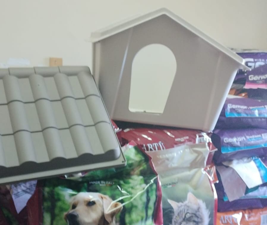 Torre del Greco. dal comune cibo e cucce gratis per i cani e i gatti randagi 