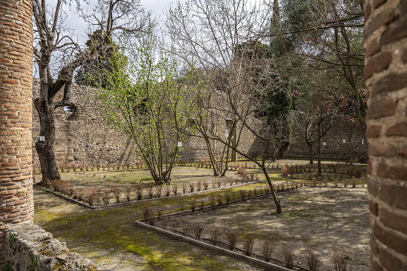 Casa dell'Orto Botanico a Pompei, apre ai visitatori un giardino curato dai ragazzi autistici