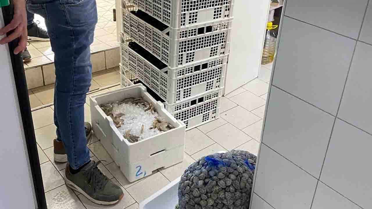 A Poggiomarino blitz della Guardia Costiera stabiese: sequestrati 200 kg di pesce