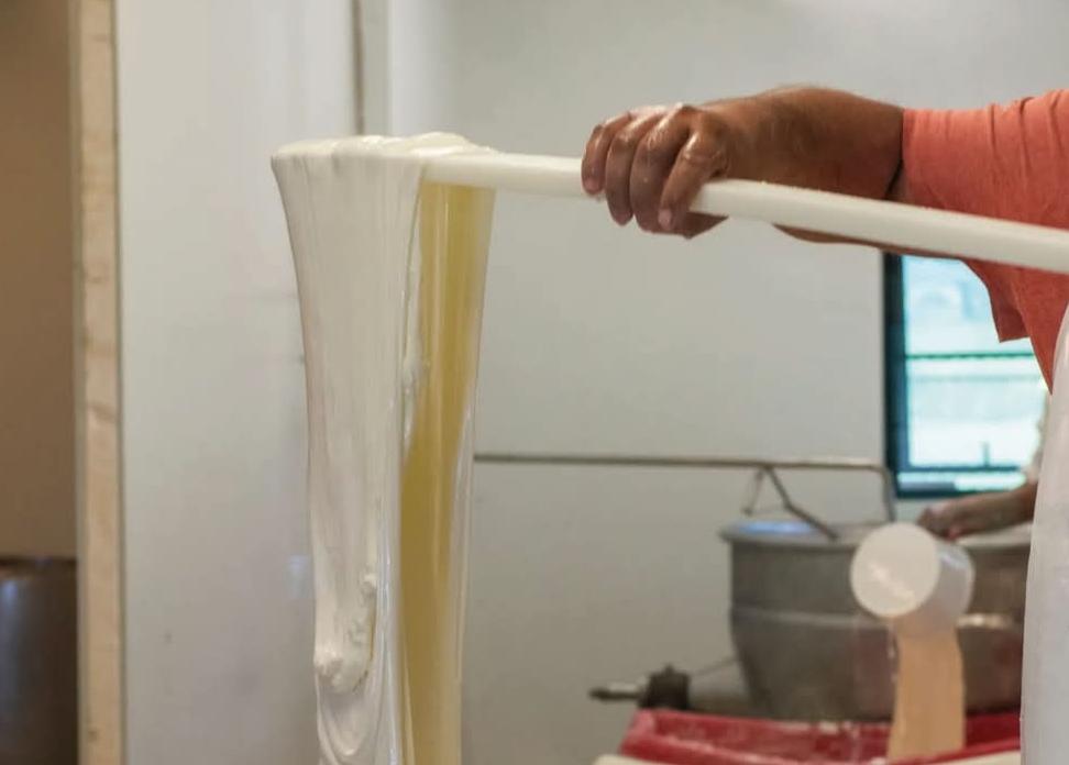 Vico Equense, marchio De.Co. per 10 caseifici storici