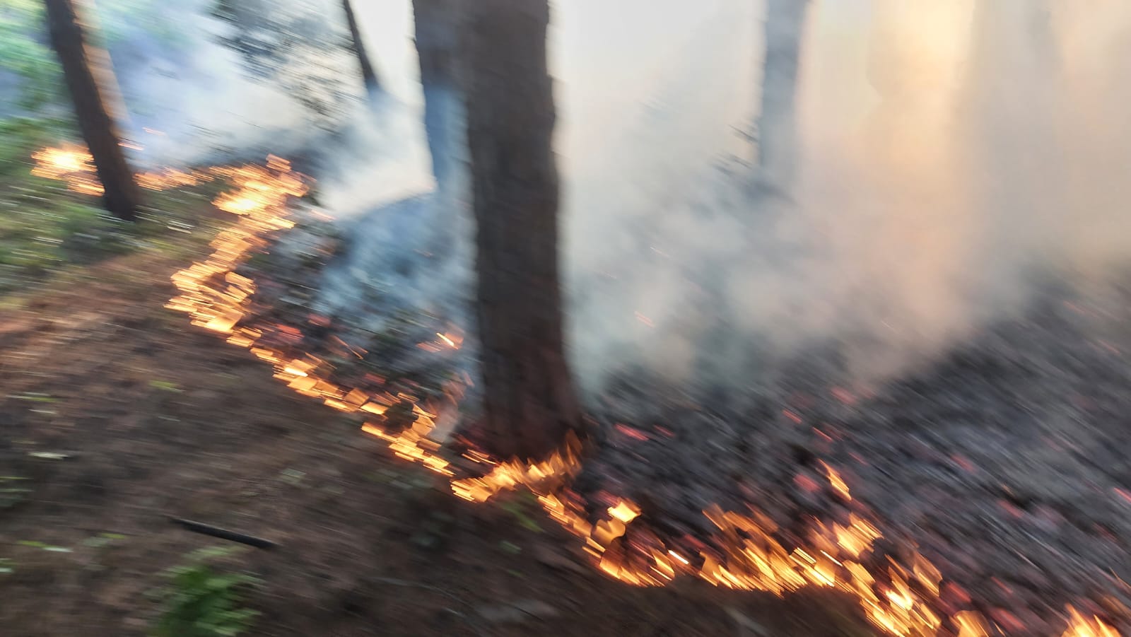 Parco del Vesuvio, incendio a Boscotrecase: vigili del fuoco sul posto