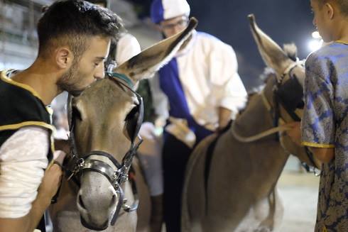 Palio del ciuccio, corteo storico a Santa Maria e la tradizionale sfida tra gli asini