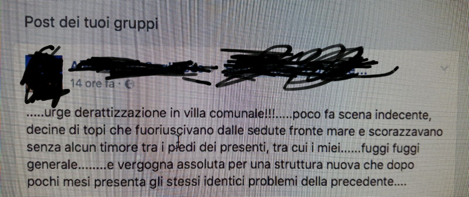 Topi in villa Comunale, la denuncia su Facebook