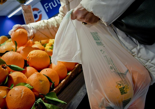 Sacchetti di plastica al supermercato, il Consiglio di Stato: 