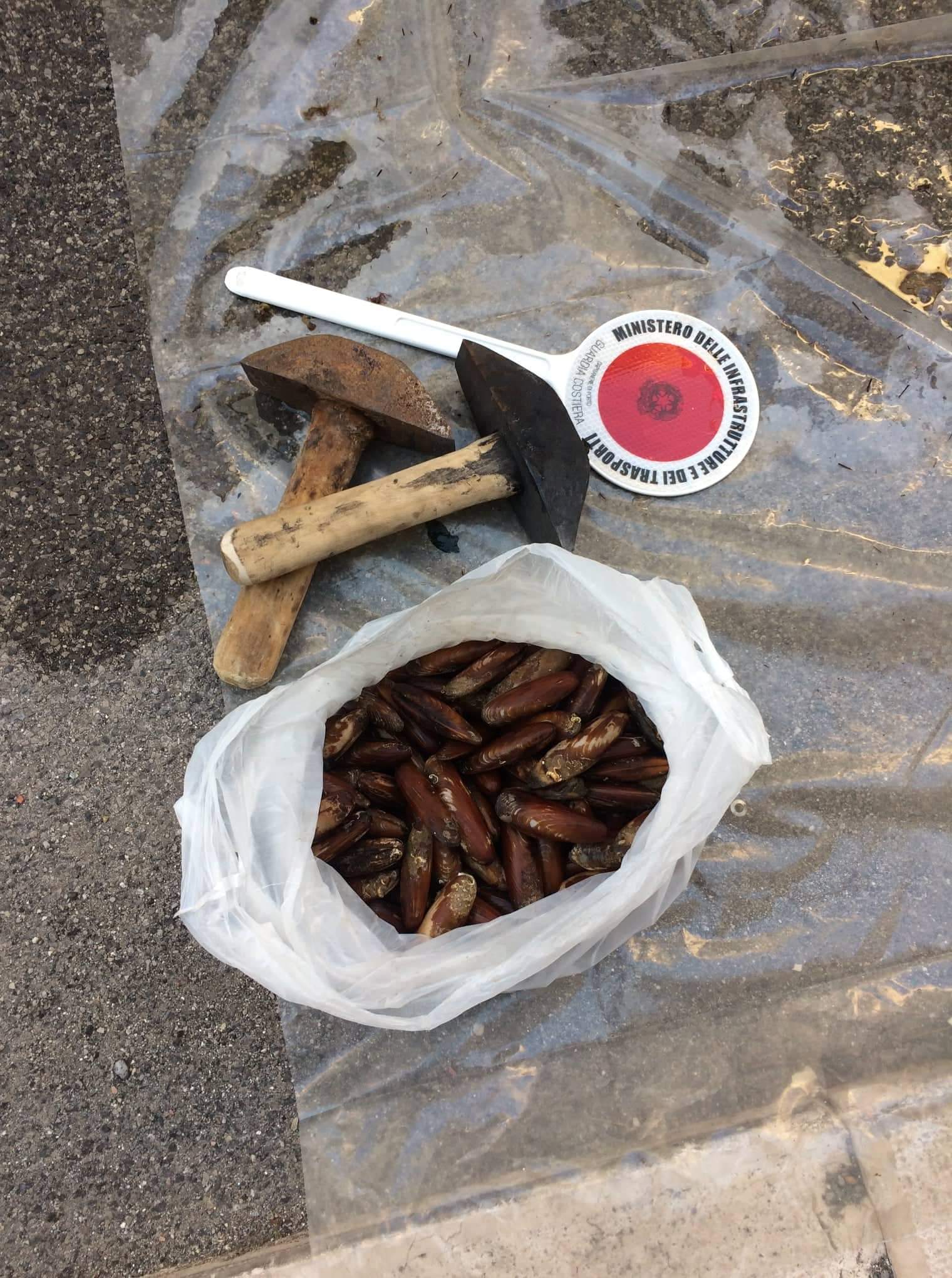 Castellammare, fermato pescatore in centro: in una borsa 20 chili di datteri